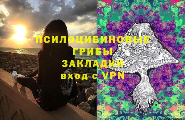дурь Горняк
