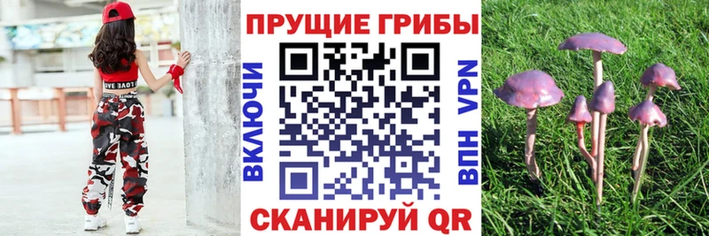 Купить где  Красноперекопск  Псилоцибиновые грибы MAGIC MUSHROOMS 